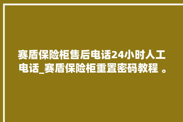 赛盾保险柜售后电话24小时人工电话_赛盾保险柜重置密码教程 。保险柜