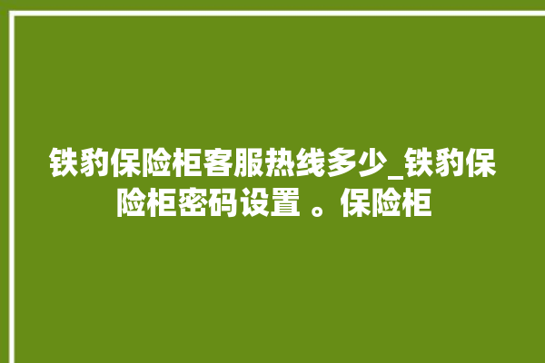 铁豹保险柜客服热线多少_铁豹保险柜密码设置 。保险柜