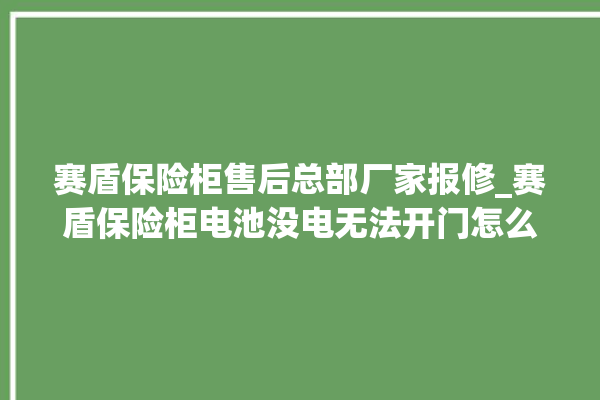 赛盾保险柜售后总部厂家报修_赛盾保险柜电池没电无法开门怎么办 。保险柜