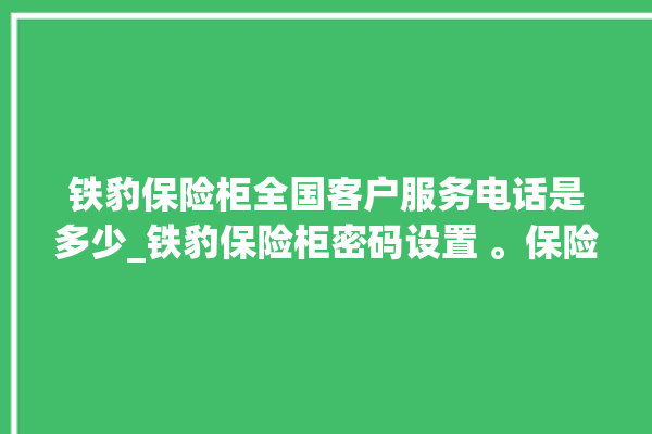 铁豹保险柜全国客户服务电话是多少_铁豹保险柜密码设置 。保险柜