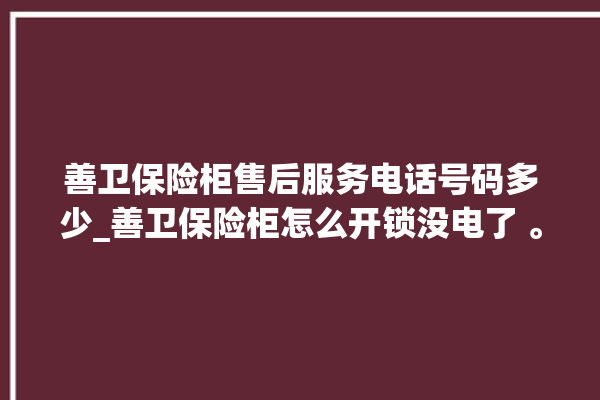 善卫保险柜售后服务电话号码多少_善卫保险柜怎么开锁没电了 。保险柜