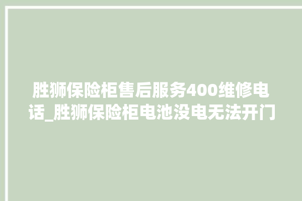 胜狮保险柜售后服务400维修电话_胜狮保险柜电池没电无法开门怎么办 。保险柜