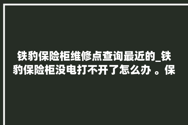 铁豹保险柜维修点查询最近的_铁豹保险柜没电打不开了怎么办 。保险柜