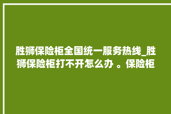 胜狮保险柜全国统一服务热线_胜狮保险柜打不开怎么办 。保险柜