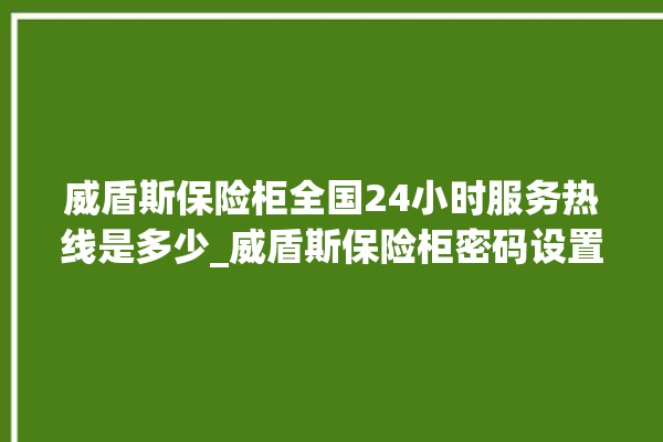 威盾斯保险柜全国24小时服务热线是多少_威盾斯保险柜密码设置 。保险柜