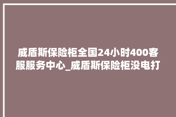 威盾斯保险柜全国24小时400客服服务中心_威盾斯保险柜没电打不开了怎么办 。保险柜