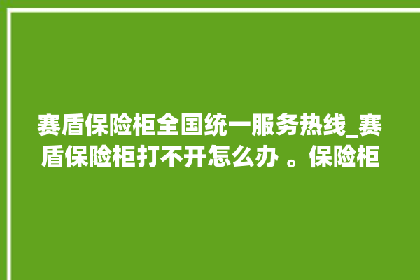 赛盾保险柜全国统一服务热线_赛盾保险柜打不开怎么办 。保险柜