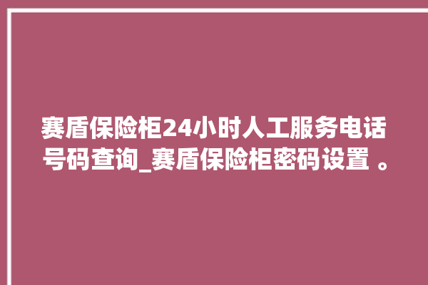 赛盾保险柜24小时人工服务电话号码查询_赛盾保险柜密码设置 。保险柜