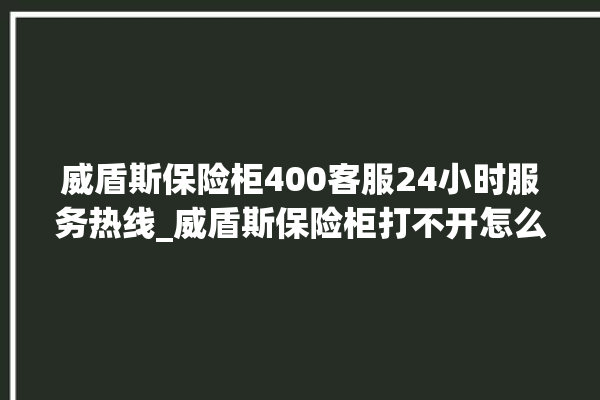 威盾斯保险柜400客服24小时服务热线_威盾斯保险柜打不开怎么办 。保险柜