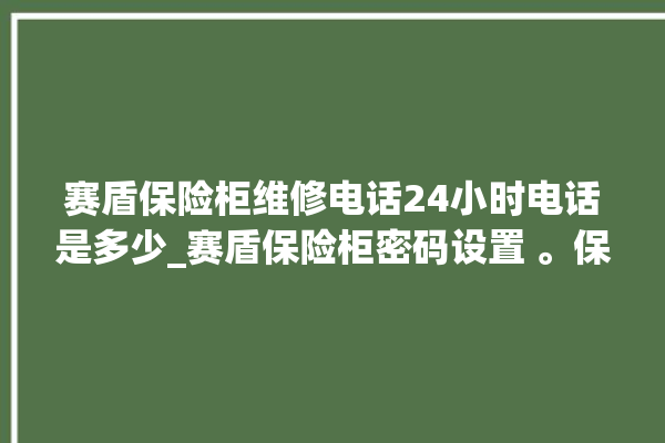 赛盾保险柜维修电话24小时电话是多少_赛盾保险柜密码设置 。保险柜