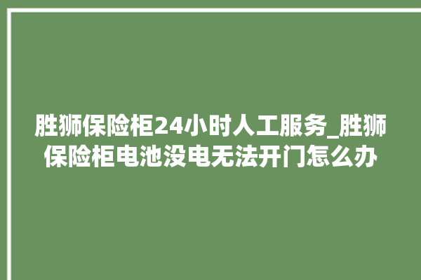 胜狮保险柜24小时人工服务_胜狮保险柜电池没电无法开门怎么办 。保险柜