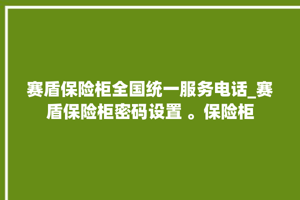 赛盾保险柜全国统一服务电话_赛盾保险柜密码设置 。保险柜