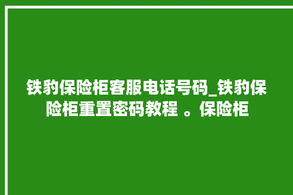 铁豹保险柜客服电话号码_铁豹保险柜重置密码教程 。保险柜