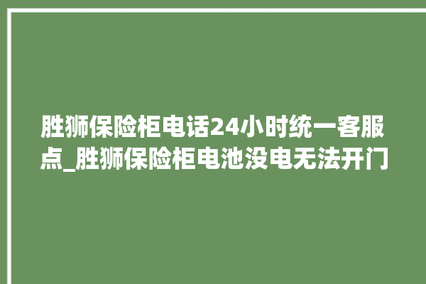 胜狮保险柜电话24小时统一客服点_胜狮保险柜电池没电无法开门怎么办 。保险柜