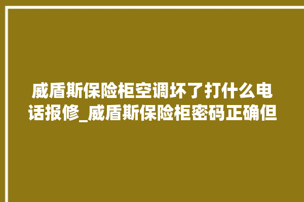 威盾斯保险柜空调坏了打什么电话报修_威盾斯保险柜密码正确但打不开 。保险柜