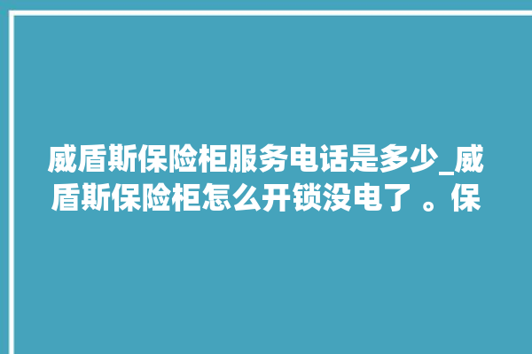 威盾斯保险柜服务电话是多少_威盾斯保险柜怎么开锁没电了 。保险柜