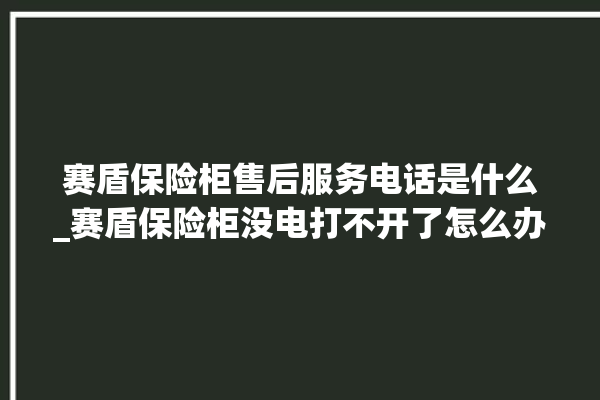 赛盾保险柜售后服务电话是什么_赛盾保险柜没电打不开了怎么办 。保险柜