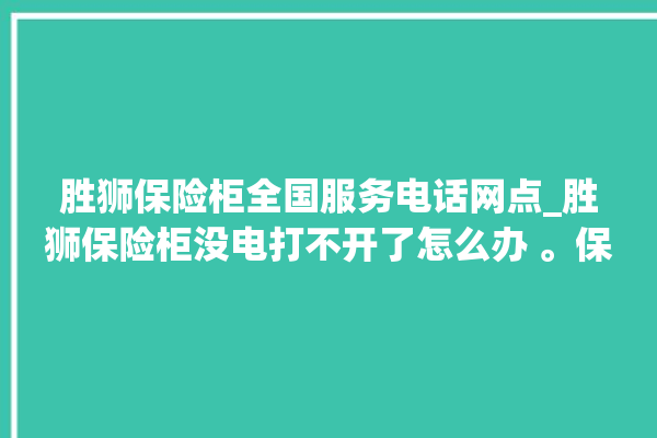 胜狮保险柜全国服务电话网点_胜狮保险柜没电打不开了怎么办 。保险柜