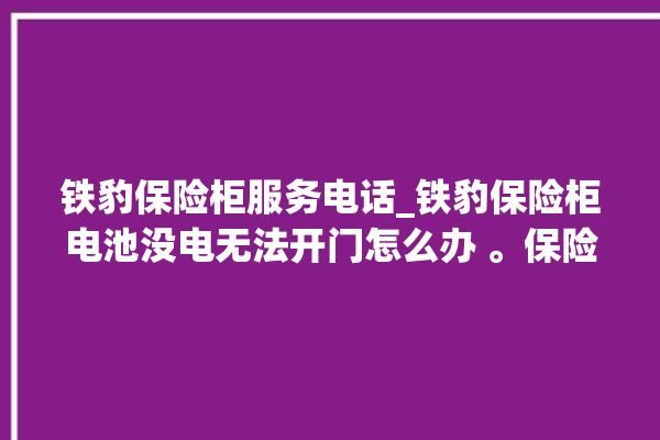 铁豹保险柜服务电话_铁豹保险柜电池没电无法开门怎么办 。保险柜