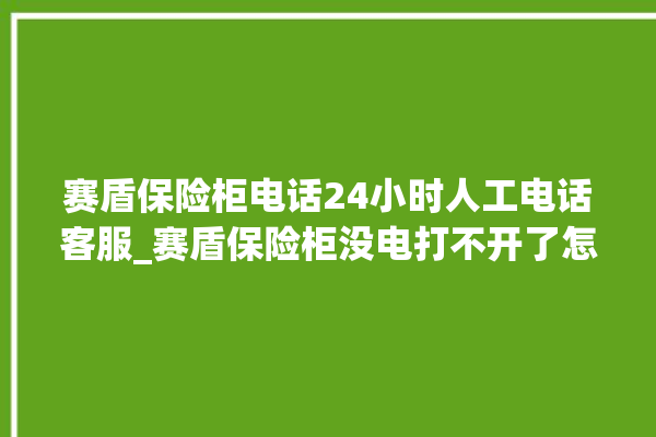 赛盾保险柜电话24小时人工电话客服_赛盾保险柜没电打不开了怎么办 。保险柜