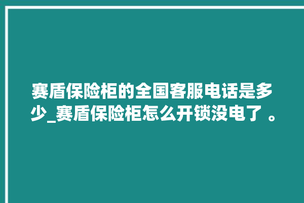 赛盾保险柜的全国客服电话是多少_赛盾保险柜怎么开锁没电了 。保险柜