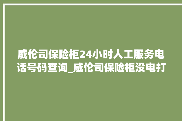 威伦司保险柜24小时人工服务电话号码查询_威伦司保险柜没电打不开了怎么办 。保险柜