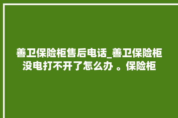 善卫保险柜售后电话_善卫保险柜没电打不开了怎么办 。保险柜