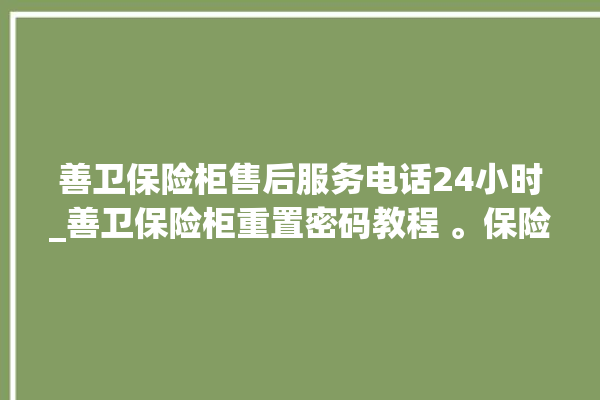 善卫保险柜售后服务电话24小时_善卫保险柜重置密码教程 。保险柜