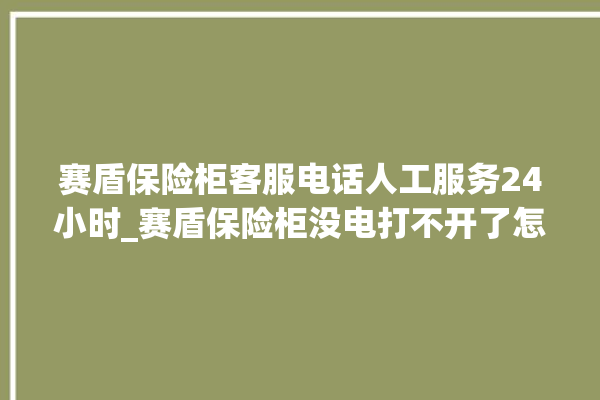 赛盾保险柜客服电话人工服务24小时_赛盾保险柜没电打不开了怎么办 。保险柜