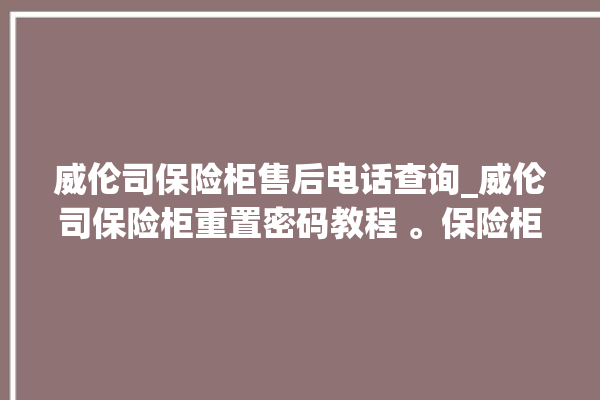 威伦司保险柜售后电话查询_威伦司保险柜重置密码教程 。保险柜