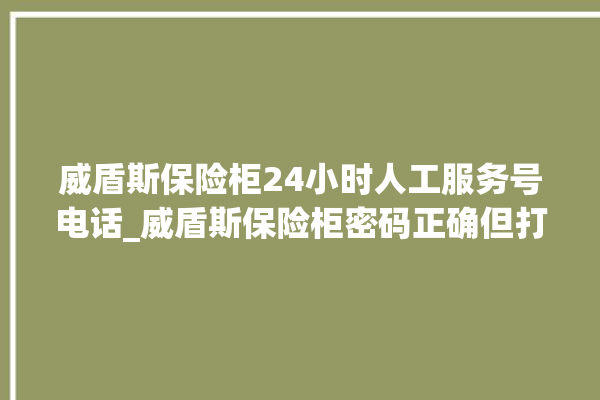 威盾斯保险柜24小时人工服务号电话_威盾斯保险柜密码正确但打不开 。保险柜