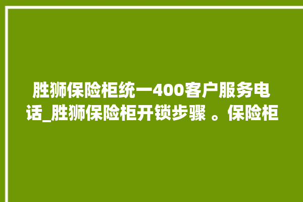 胜狮保险柜统一400客户服务电话_胜狮保险柜开锁步骤 。保险柜