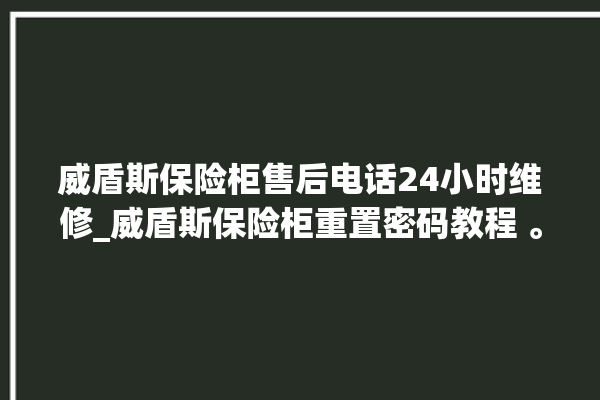 威盾斯保险柜售后电话24小时维修_威盾斯保险柜重置密码教程 。保险柜