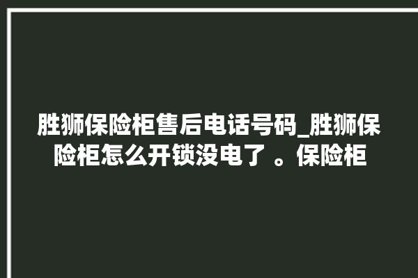 胜狮保险柜售后电话号码_胜狮保险柜怎么开锁没电了 。保险柜