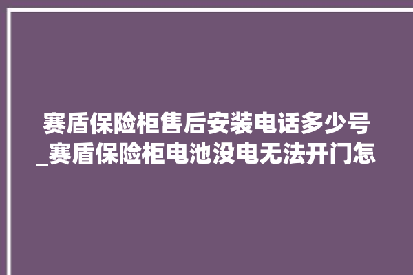 赛盾保险柜售后安装电话多少号_赛盾保险柜电池没电无法开门怎么办 。保险柜