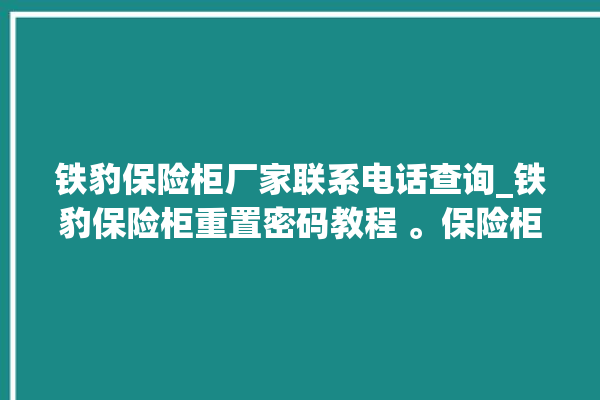 铁豹保险柜厂家联系电话查询_铁豹保险柜重置密码教程 。保险柜