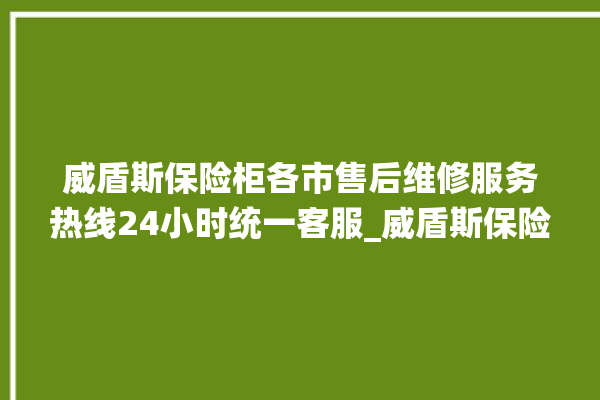 威盾斯保险柜各市售后维修服务热线24小时统一客服_威盾斯保险柜电池没电无法开门怎么办 。保险柜