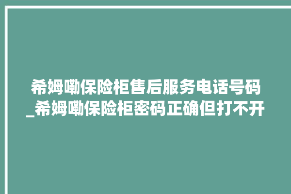 希姆嘞保险柜售后服务电话号码_希姆嘞保险柜密码正确但打不开 。保险柜