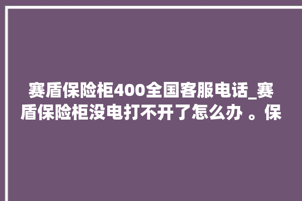 赛盾保险柜400全国客服电话_赛盾保险柜没电打不开了怎么办 。保险柜