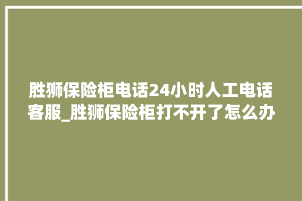 胜狮保险柜电话24小时人工电话客服_胜狮保险柜打不开了怎么办 。保险柜