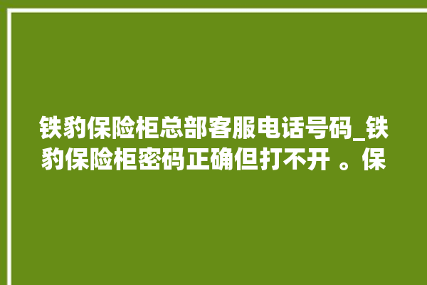 铁豹保险柜总部客服电话号码_铁豹保险柜密码正确但打不开 。保险柜