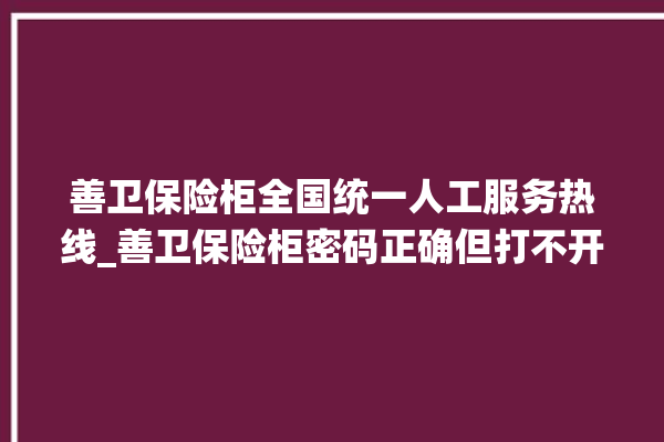 善卫保险柜全国统一人工服务热线_善卫保险柜密码正确但打不开 。保险柜