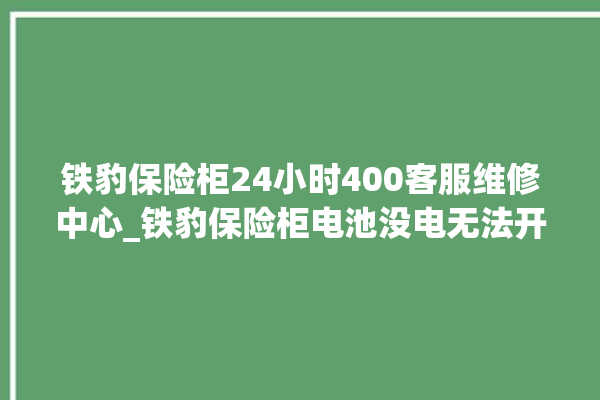 铁豹保险柜24小时400客服维修中心_铁豹保险柜电池没电无法开门怎么办 。保险柜