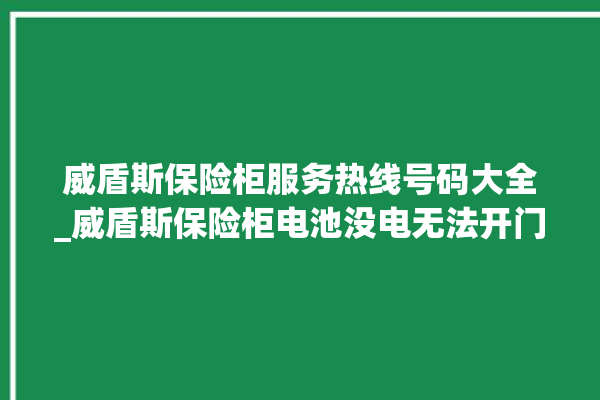 威盾斯保险柜服务热线号码大全_威盾斯保险柜电池没电无法开门怎么办 。保险柜