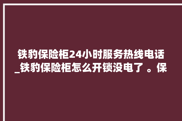 铁豹保险柜24小时服务热线电话_铁豹保险柜怎么开锁没电了 。保险柜