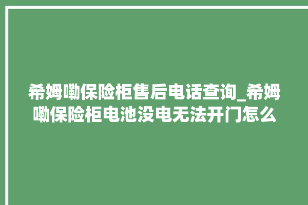 希姆嘞保险柜售后电话查询_希姆嘞保险柜电池没电无法开门怎么办 。保险柜