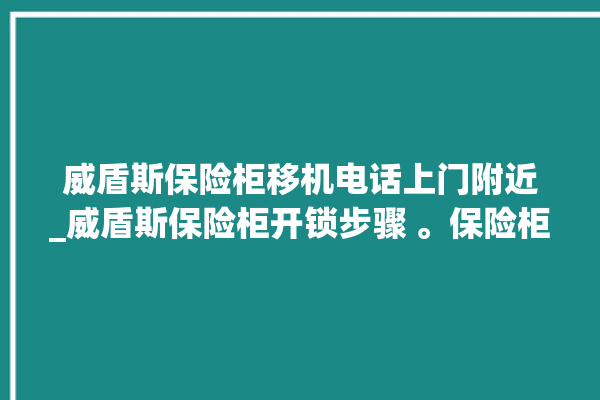 威盾斯保险柜移机电话上门附近_威盾斯保险柜开锁步骤 。保险柜