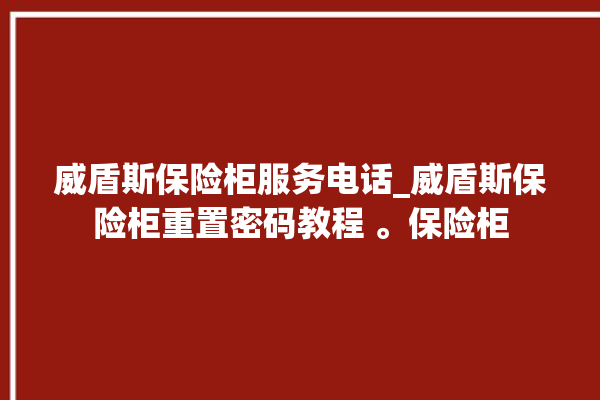 威盾斯保险柜服务电话_威盾斯保险柜重置密码教程 。保险柜