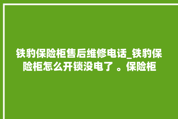 铁豹保险柜售后维修电话_铁豹保险柜怎么开锁没电了 。保险柜