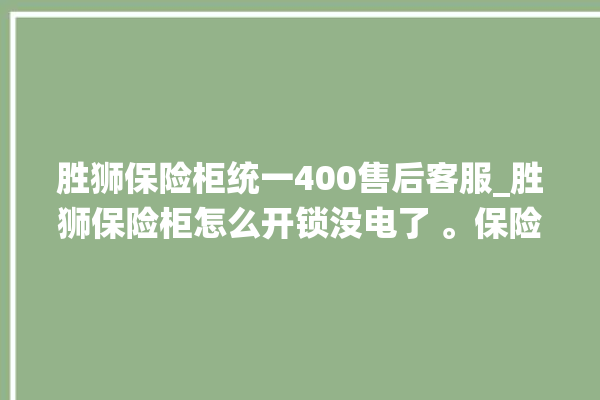 胜狮保险柜统一400售后客服_胜狮保险柜怎么开锁没电了 。保险柜